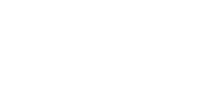 logo AEO